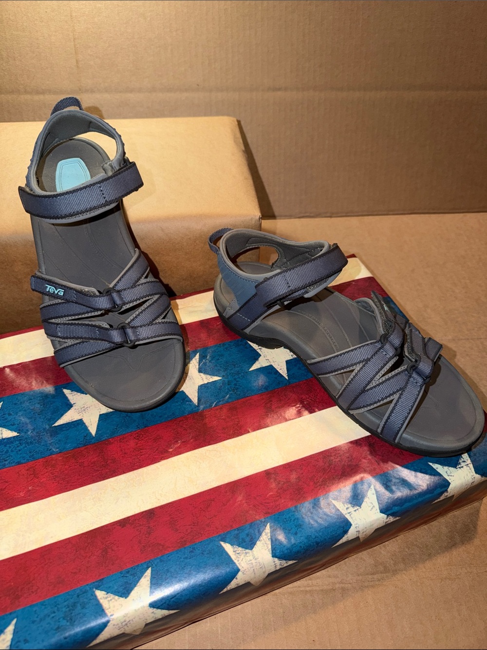 Teva Navy Strappy Sport Sandals
